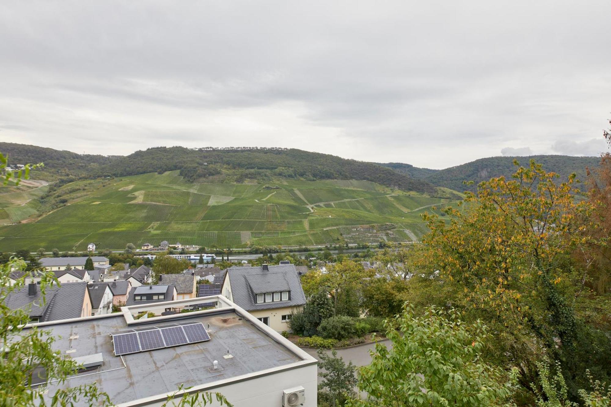 Mosel Panorama Lejlighed Bernkastel-Kues Eksteriør billede